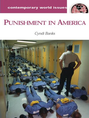 cover image of Punishment in America